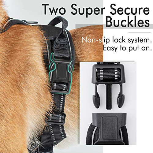 rabbitgoo Dog Harness, No-Pull Pet Harness with 2 Leash Clips, Adjustable Soft Padded Dog Vest