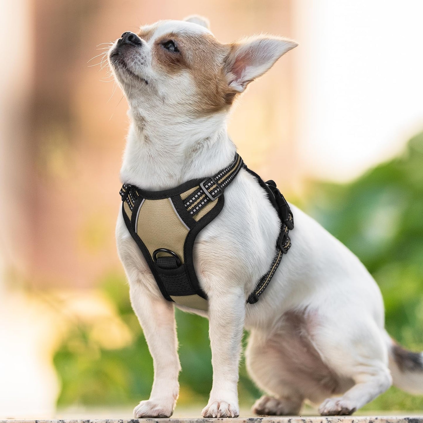 rabbitgoo Dog Harness, No-Pull Pet Harness with 2 Leash Clips, Adjustable Soft Padded Dog Vest
